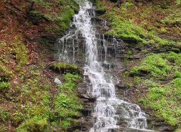 new-york/chautauqua-allegheny/landmark/allegany-state-park