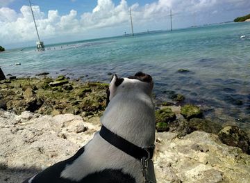 florida/florida-keys/landmark/indian-key-state-historic-site