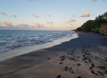 saint-kitts-and-nevis/pinney-s-beach/landmark/lovers-beach