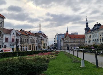 romania/salaj/landmark/babos-palace