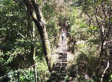 costa-rica/monteverde-cloud-forest/landmark/frog-pond-ranario