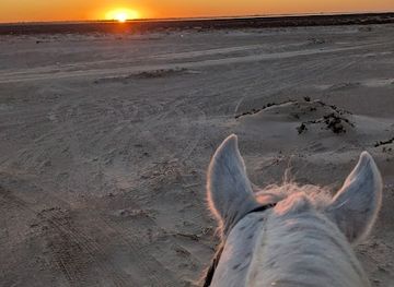 tunisia/djerba/landmark/mezraya-ranch