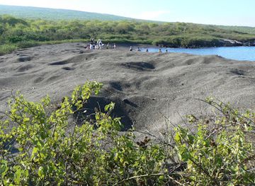 ecuador/galapagos-islands/landmark/urbina-bay