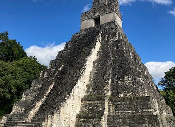 guatemala/northern-lowlands/landmark/the-great-jaguar-tikal