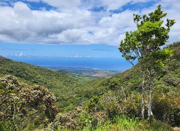 mauritius/black-river-gorges-national-park/landmark/alexandra-falls-view-point