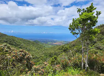 Alexandra Falls View Point