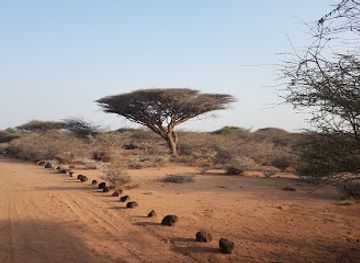 djibouti/tadjourah-region/landmark/decan-refuge