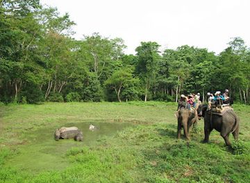 nepal/chitwan-national-park/landmark/chitwan-jungle-safari