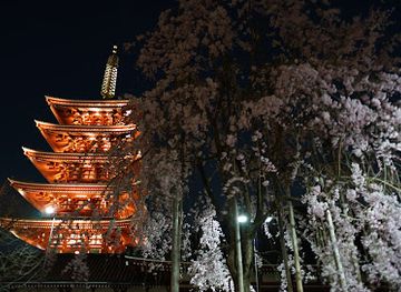 japan/iki/landmark/sensoji-chingodo
