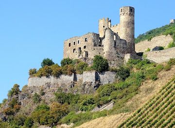 germany/hunsruck/landmark/burgruine-ehrenfels