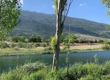 lebanon/horsh-ehden-nature-reserve/landmark/aammiq-wetland