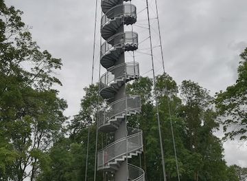 lithuania/samogitia/landmark/pasiliu-stumbrynas