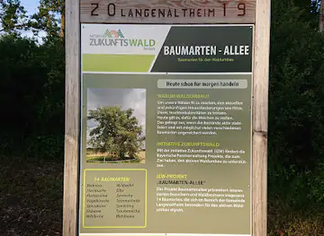 Baumarten-Allee