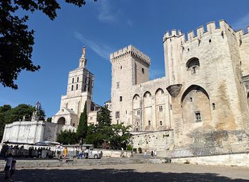 france/cote-des-blancs/landmark/palais-des-papes