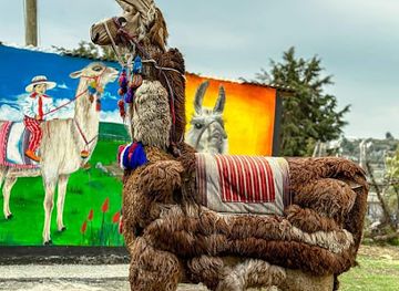 guatemala/huehuetenango/landmark/todos-santos-cuchumatan