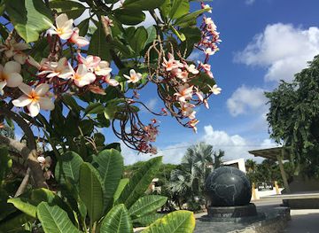 aruba/noord/landmark/aruba-status-aparte-monument
