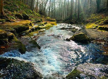 new-jersey/delaware-water-gap-national-recreation-area/landmark/dunnfield-creek-natural-area
