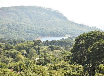 malawi/thyolo-highlands/landmark/zomba-massif