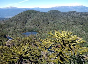 chile/araucania-region/landmark/santuario-el-cani