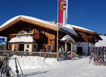 austria/saalbach-hinterglemm/landmark/barnalm