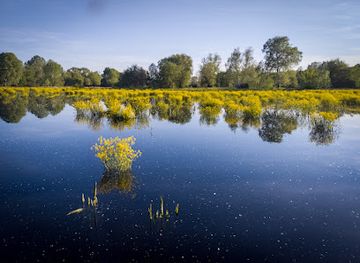hungary/debrecen/landmark/vekeri-to