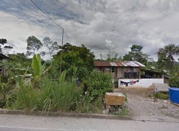 ecuador/napo-region/landmark/islas