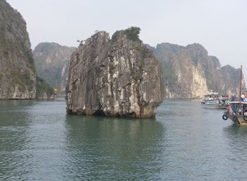 vietnam/ha-long-bay/landmark/bai-chay-market