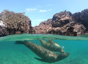 ecuador/galapagos-islands/landmark/galatrails-tour-galapagos-islands