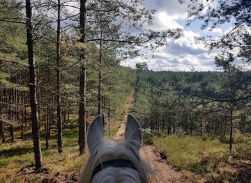 poland/szczecin-lagoon/landmark/puszcza-wkrzanska