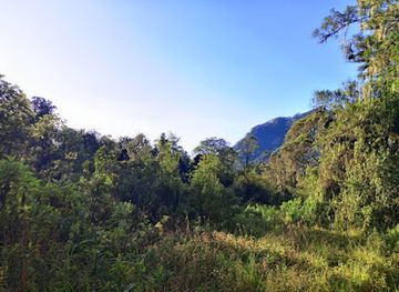 uganda/rwenzori-mountains-national-park/landmark/rwenzori-ranges-hikers-association