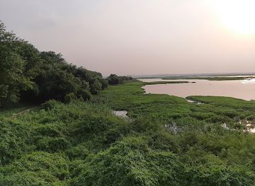 bangladesh/ratargul-swamp-forest/landmark/baikka-beel-watch-tower