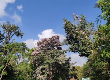 india/chennai/mylapore/landmark/nageswara-rao-park