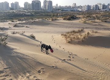 israel/ashdod/landmark/ashdod-sand-dune