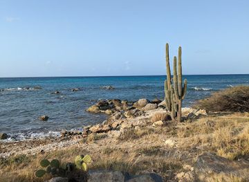 aruba/eagle-beach/landmark/sasariwichi-dunes