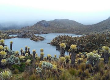 colombia/orinoquia/landmark/los-nevados-national-park