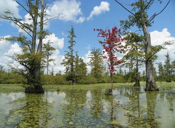 illinois/little-egypt/landmark/cypress-creek-national-wildlife-refuge