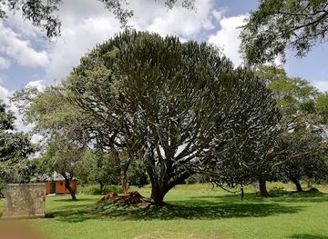 uganda/west-nile/landmark/ziwa-rhino-and-wildlife-ranch