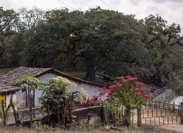 guatemala/verapaces/landmark/hacienda-los-paxtes