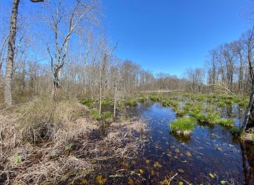 new-jersey/great-swamp-national-wildlife-refuge/landmark/great-swamp-wildlife-observation-center