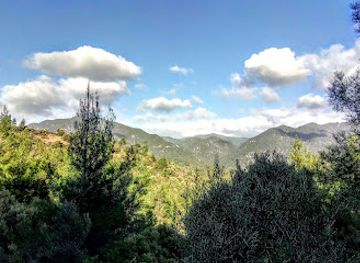 cyprus/kyrenia-mountains/landmark/paphos-forest