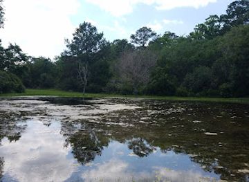 south-carolina/sea-islands/landmark/edisto-island-historic-preservation