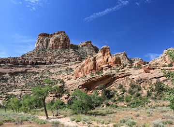 utah/book-cliffs/landmark/buckhorn-wash-pictograph-panel