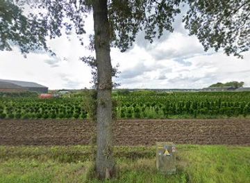 netherlands/north-brabant/landmark/dutch-reformed-church