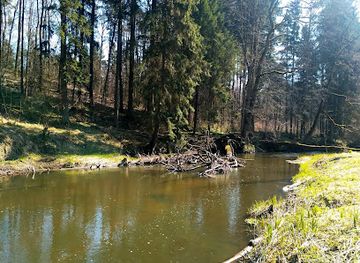poland/kuyavian-pomeranian-lake-district/landmark/mosty-w-kiepojciach