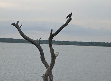 ghana/ahafo-region/landmark/digya-national-park