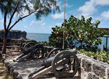 barbados/cherry-tree-hill/landmark/animal-flower-cave-restaurant