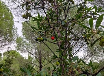 turkiye/izmir/buca/landmark/manavur-deresi