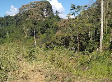 Patuca Olancho