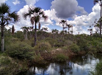 brazil/reconcavo/landmark/grande-sertao-veredas-national-park