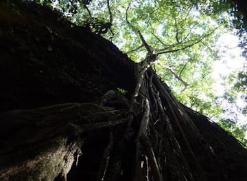 saint-kitts-and-nevis/newcastle/landmark/bat-cave-hike